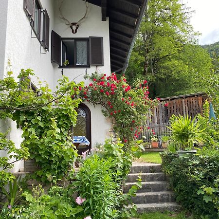 Ferienwohnung Laimer, Radau 37 Saint Wolfgang エクステリア 写真